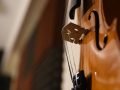 L’art musicale : Clement Pimenta et les avantages de jouer de l’alto