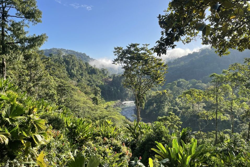 Excursions dans la jungle au Costa Rica